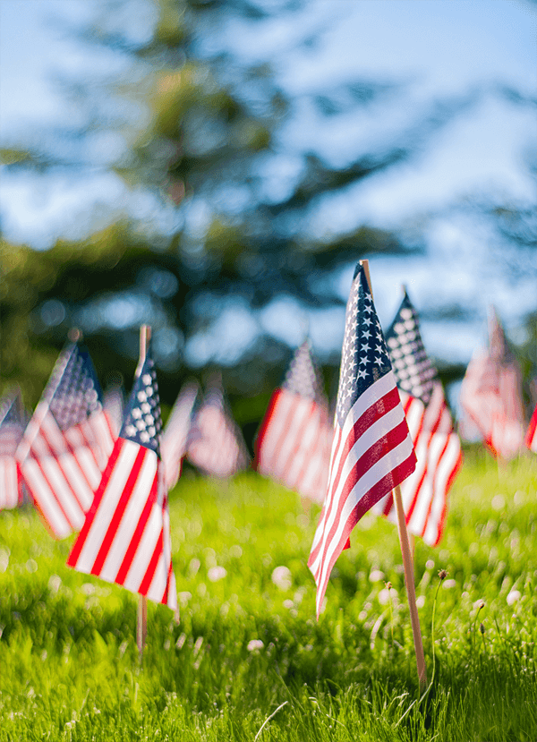 Flags representing veterans receiving Biblical counseling—faith-based support for trauma, PTSD, grief, and spiritual healing.